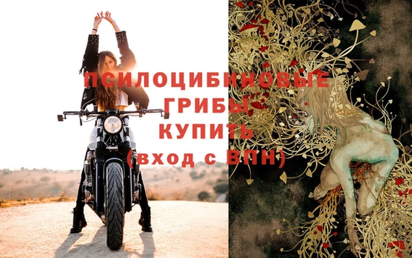 mdma Лагань