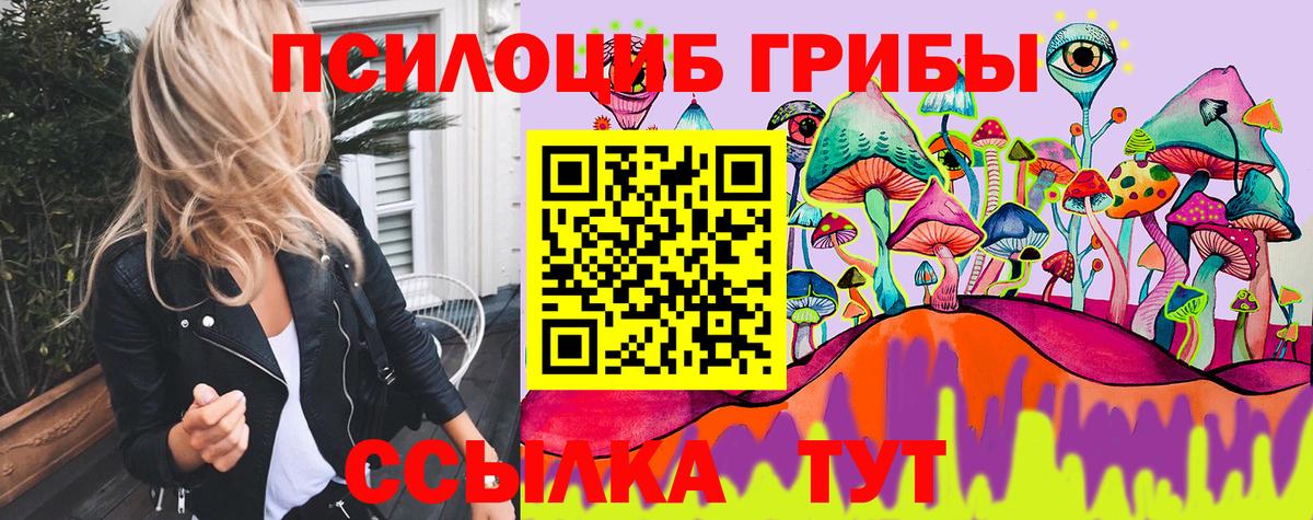 Псилоцибиновые грибы Psilocybe Череповец